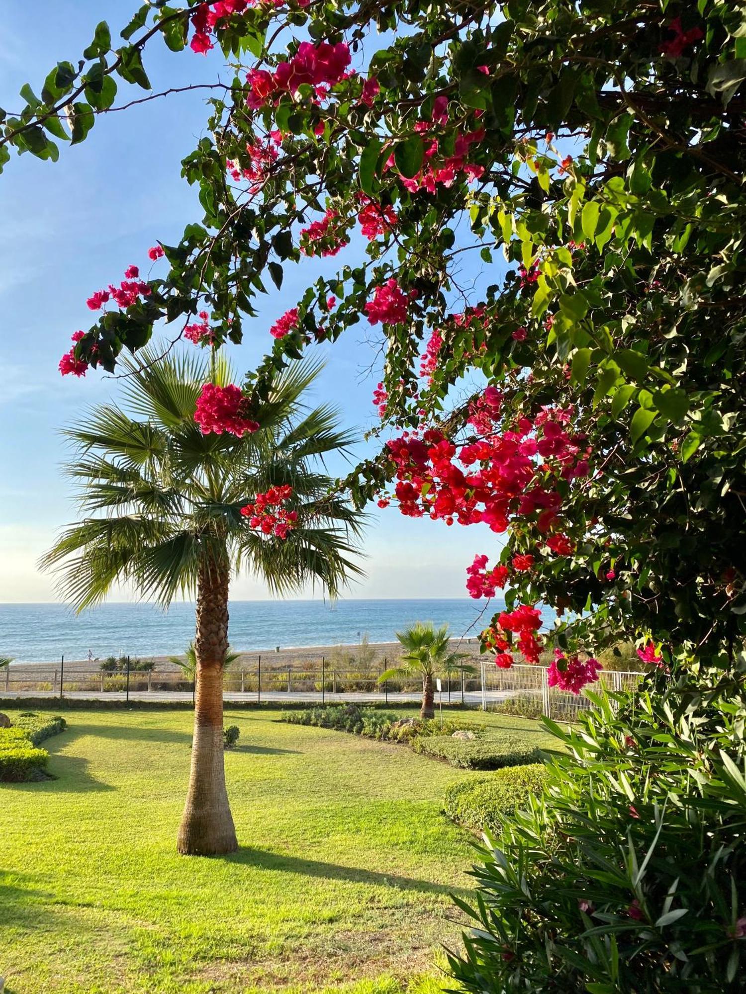 Sunshine Beach Front Complex, Wifi, Modern Casares Exterior photo
